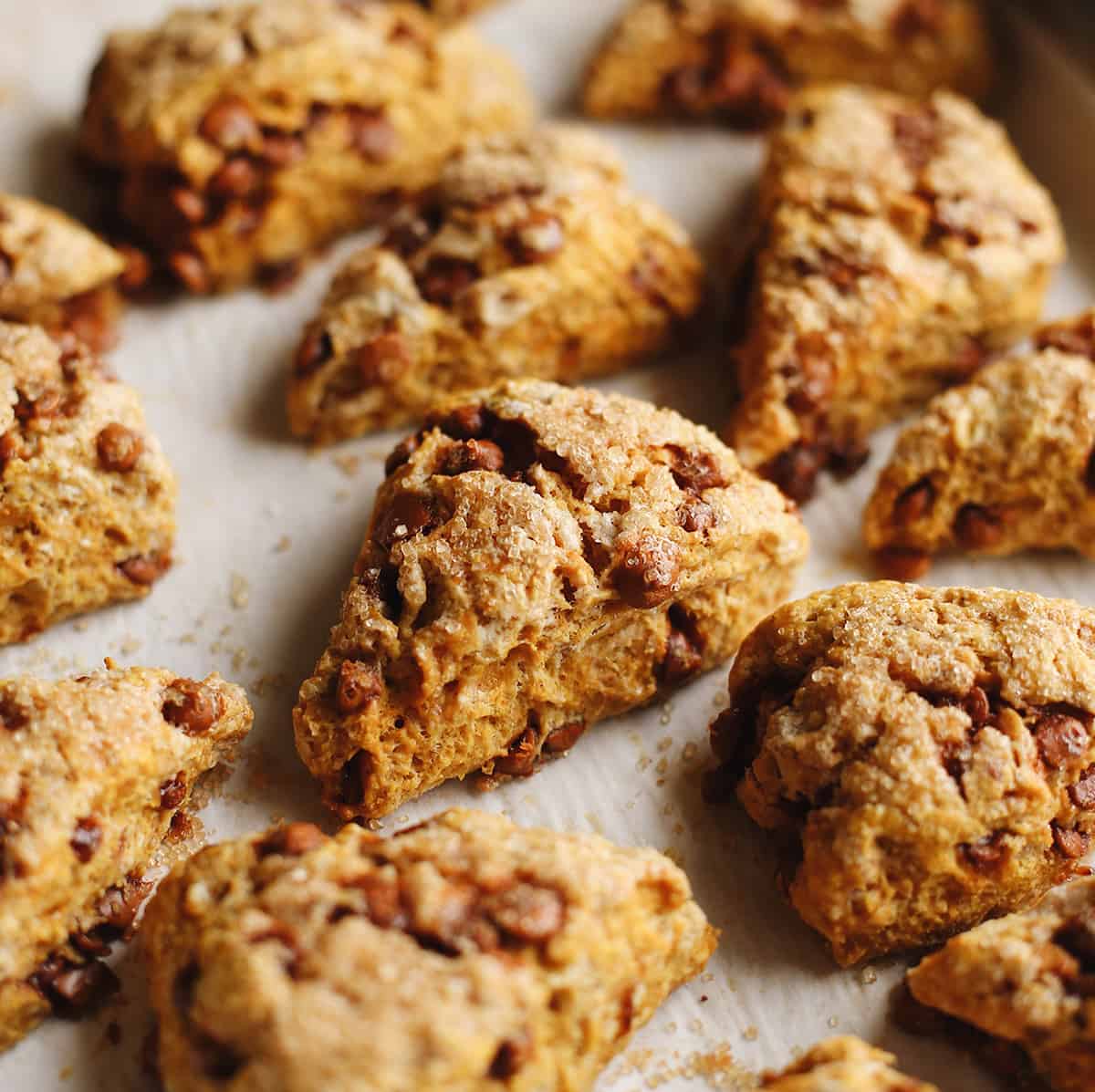 Pumpkin Scones Recipe