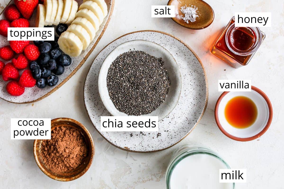 overhead photo of the labeled ingredients in this Chocolate Chia Pudding Recipe