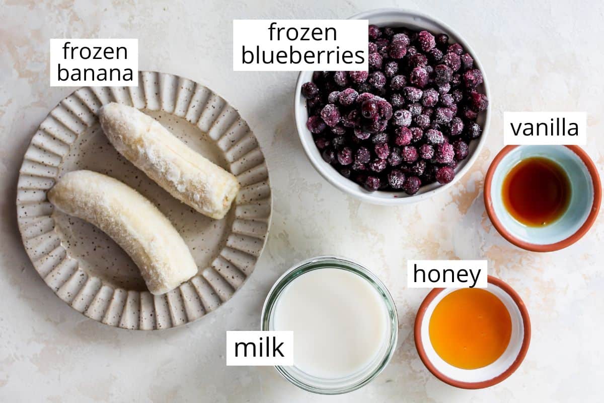 overhead photo of the labeled ingredients in this Blueberry Smoothie recipe