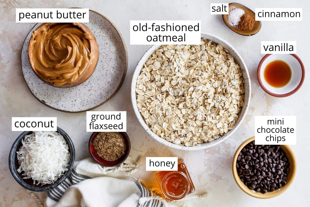 overhead photo of the labeled ingredients in this peanut butter protein balls recipe
