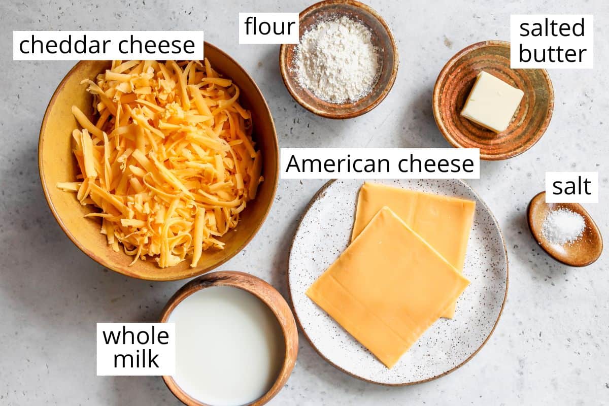 overhead view of the labeled ingredients in this Cheese Sauce recipe
