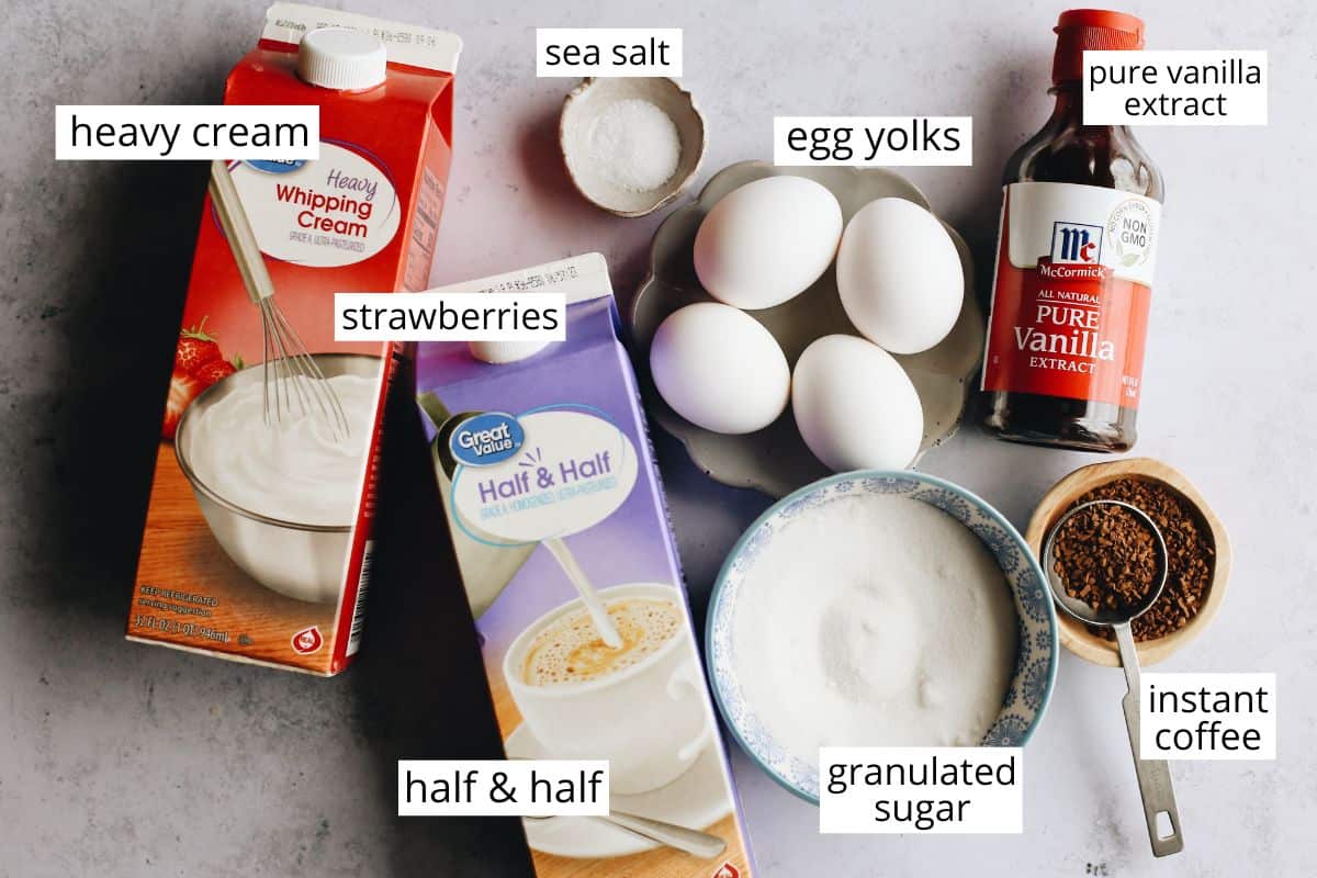 overhead photo of the 7 ingredients in this Coffee Ice Cream recipe