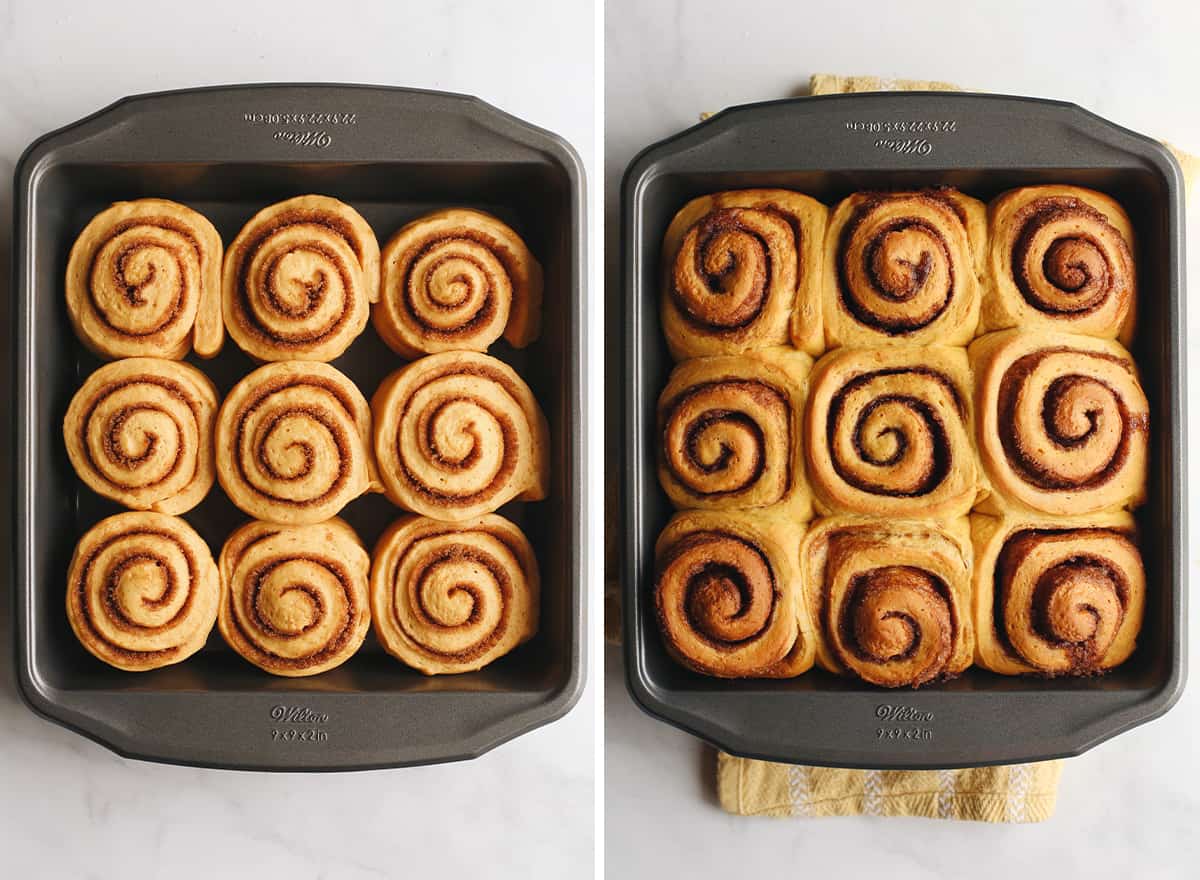 two photos showing How to make Pumpkin Cinnamon Rolls - before and after baking in the baking pan.