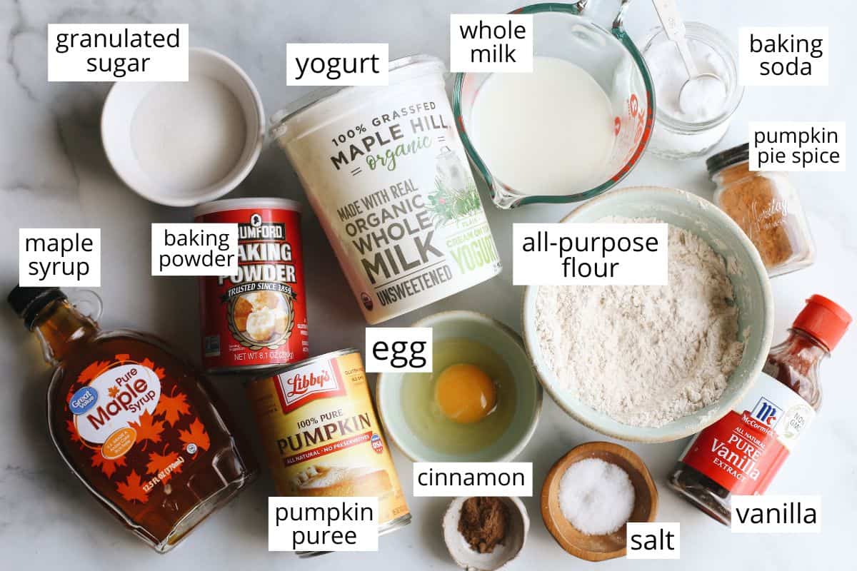 overhead photo of the labeled ingredients in this Pumpkin Pancake recipe