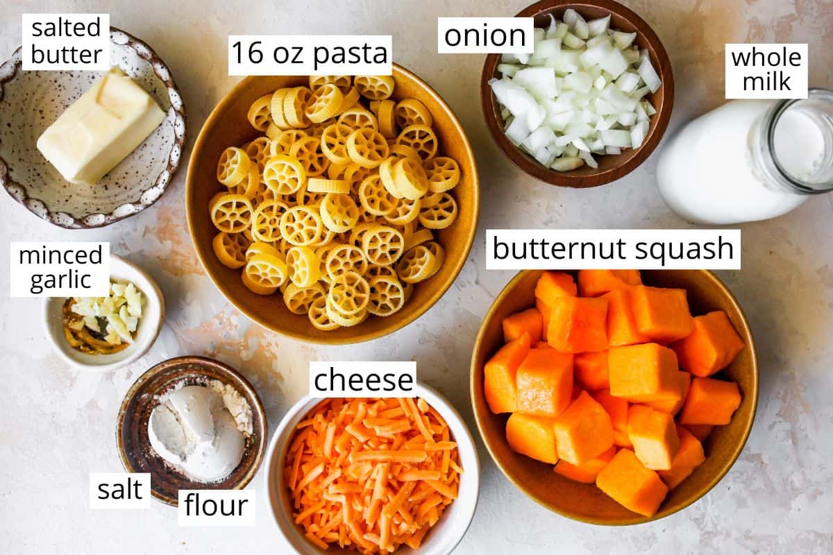 photo of the labeled ingredients in this Butternut Squash Mac and Cheese recipe