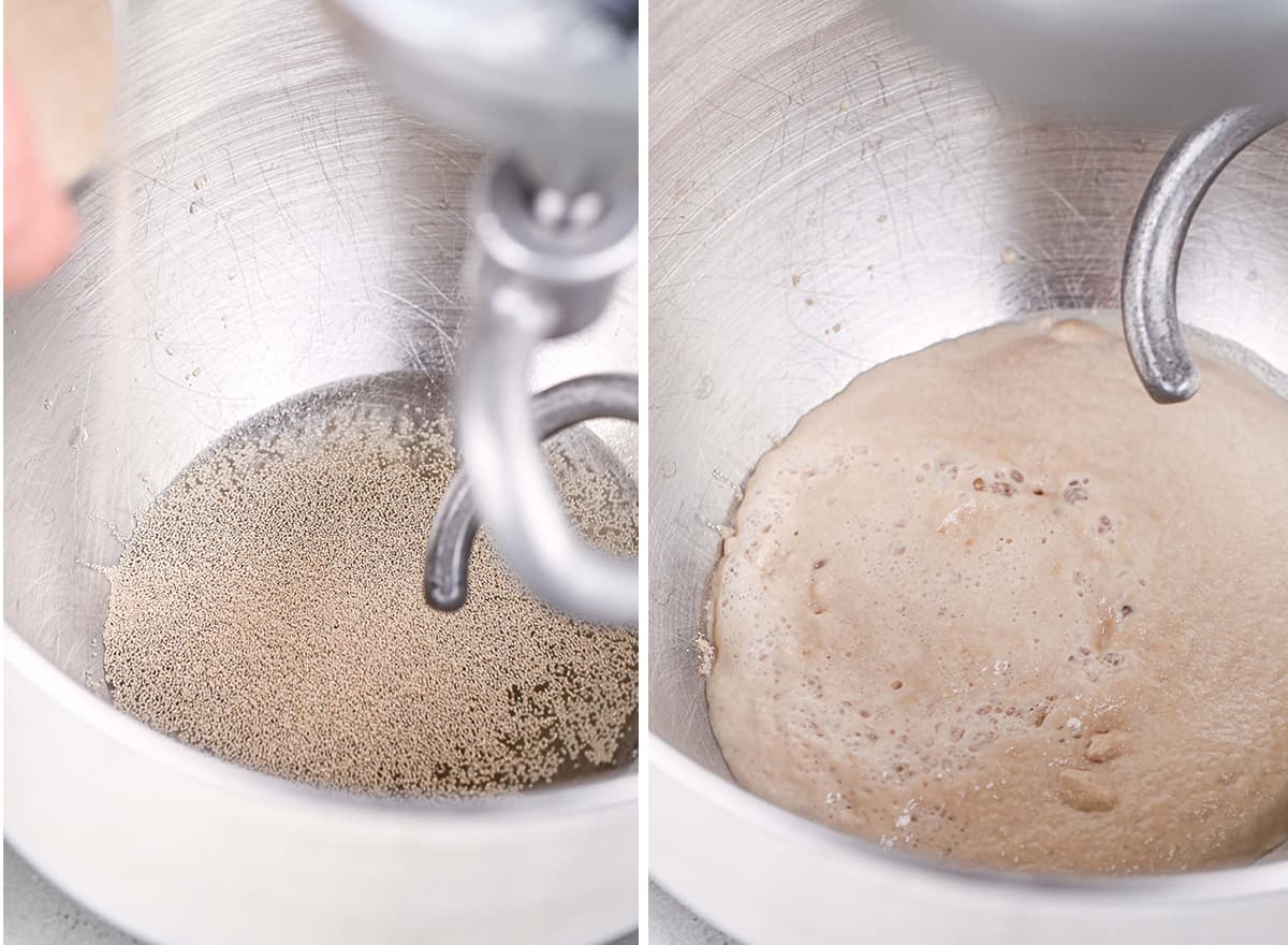 two photos showing How to Make Sandwich Bread - proofing yeast