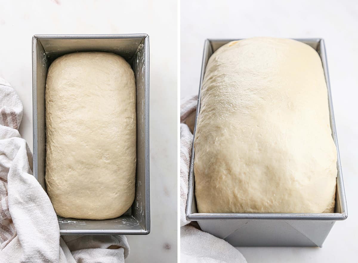 two photos showing How to Make Sandwich Bread - dough in a loaf pan before and after rising