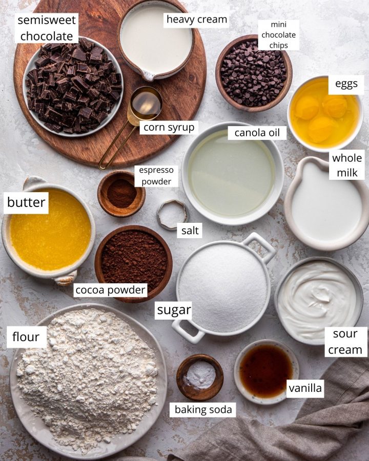 overhead view of the ingredients in this Chocolate Bundt Cake recipe
