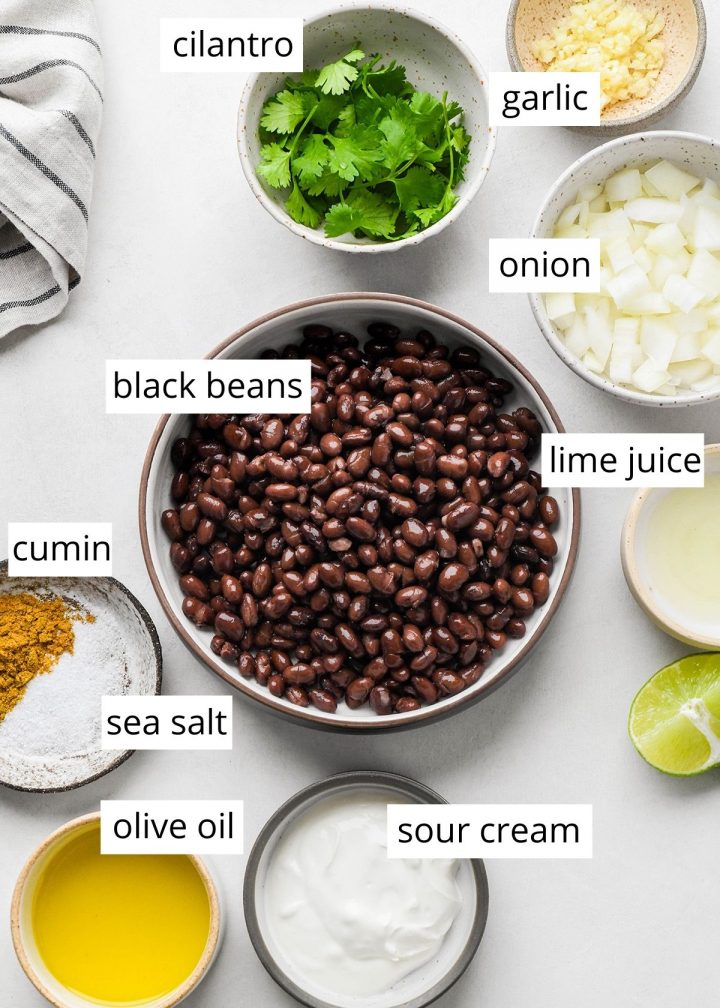 ingredients in this Black Bean Dip recipe