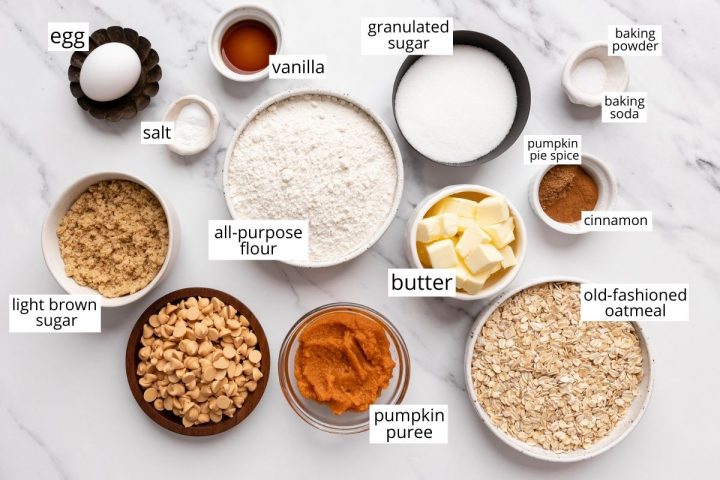 overhead photo of the ingredients in this Pumpkin Oatmeal Cookies recipe