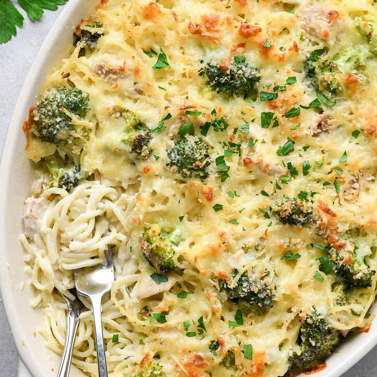Turkey Tetrazzini in a baking dish with two forks