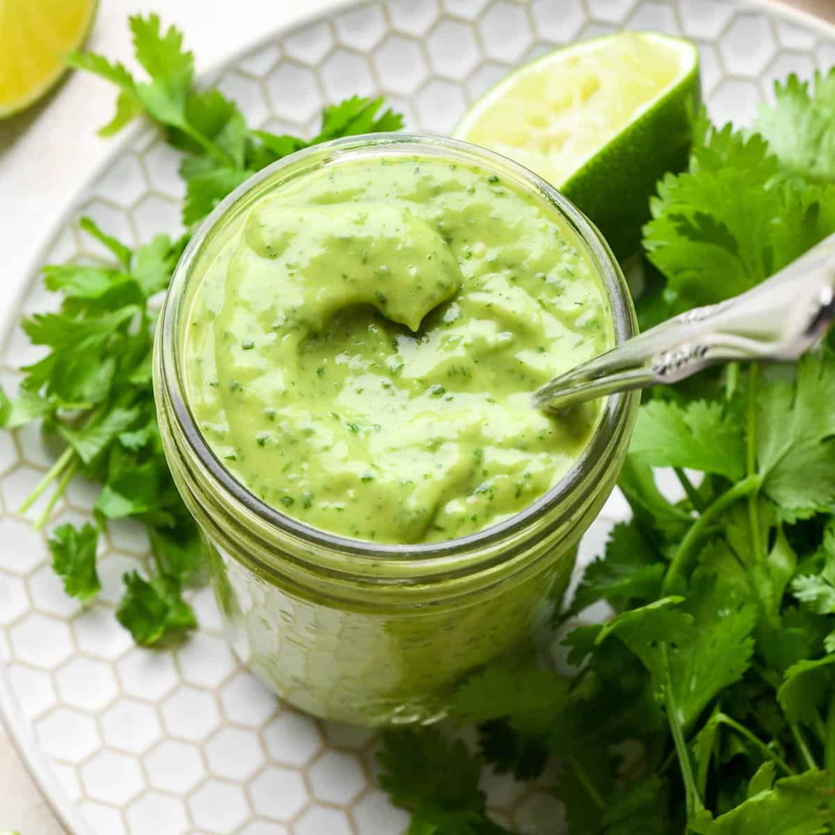 Avocado Cilantro Mayonnaise [ Mini-Chopper Attachment ] Recipe