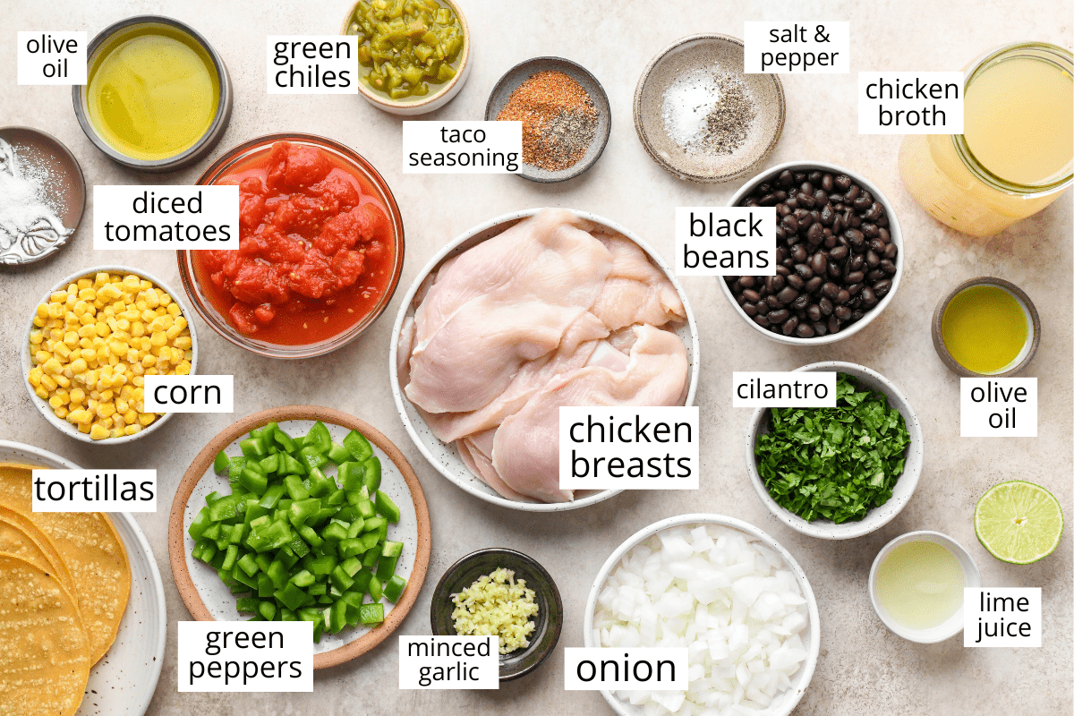 overhead view of the ingredients in this chicken tortilla soup recipe