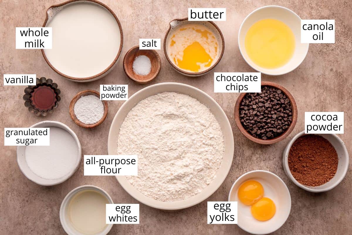 overhead photo of the ingredients in this Chocolate Waffles Recipe