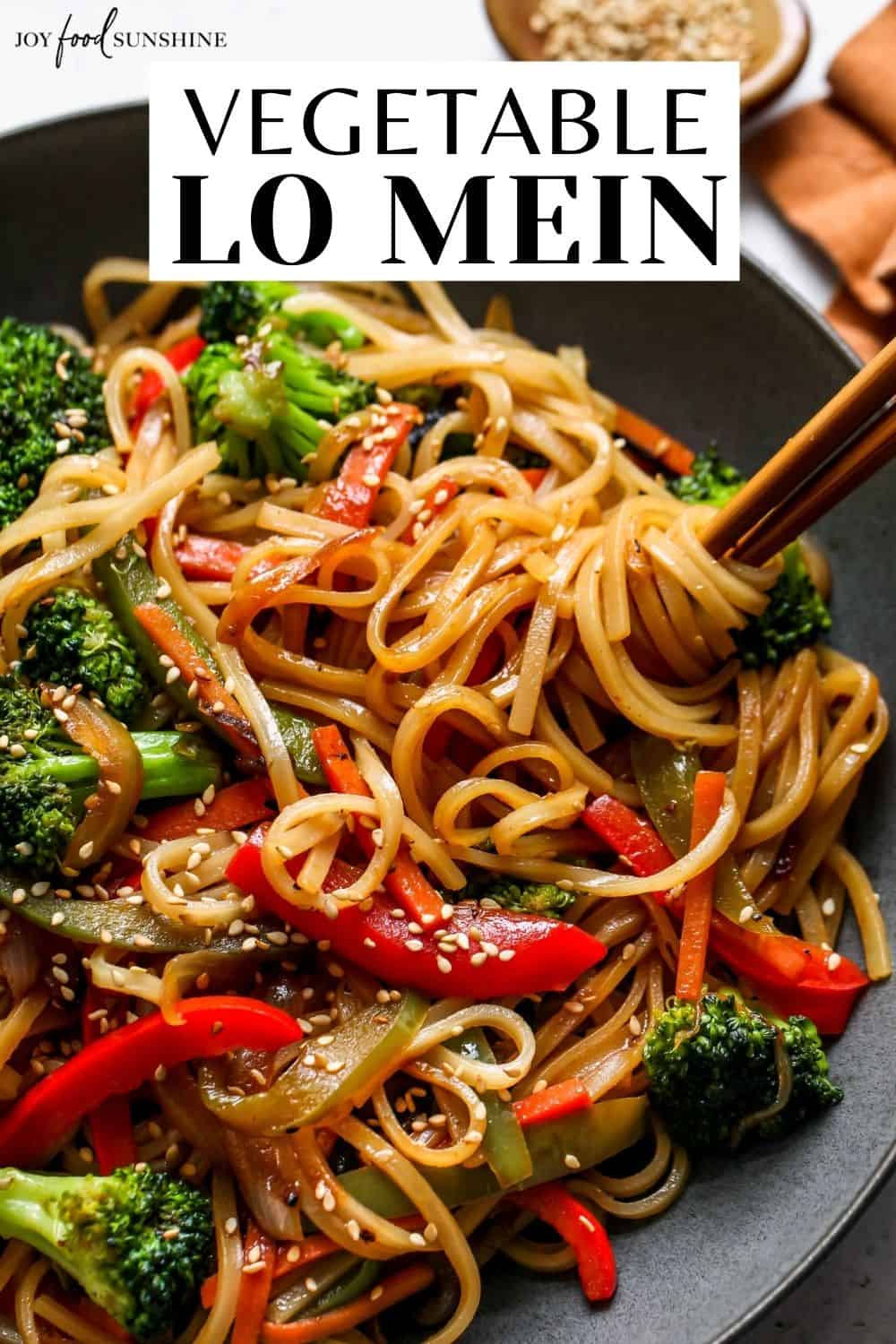 Vegetable Lo Mein Recipe - JoyFoodSunshine