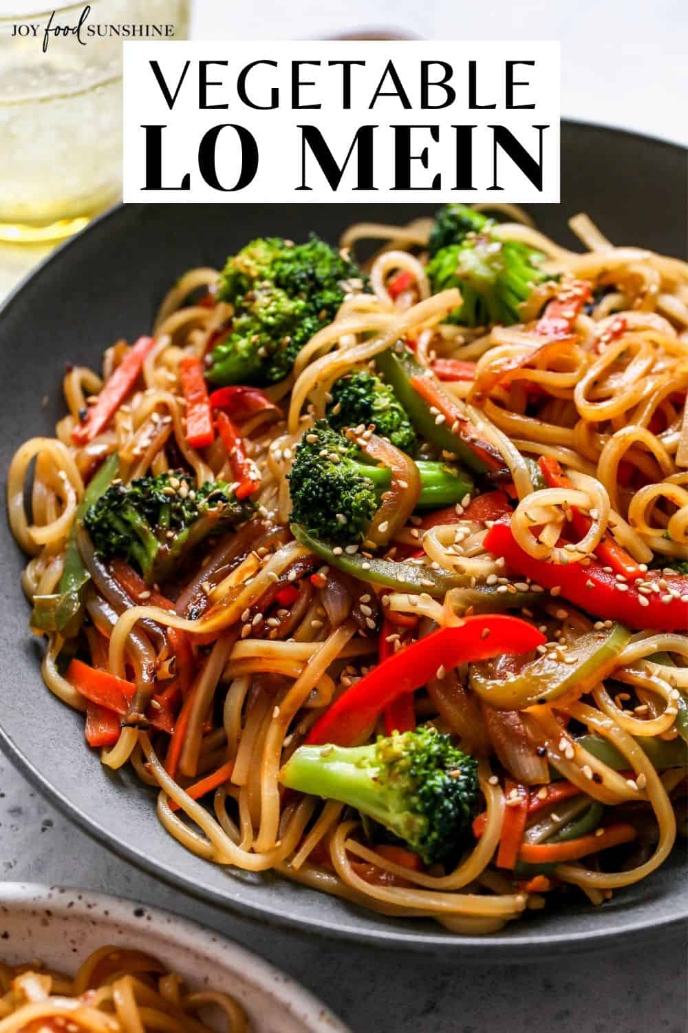 Vegetable Lo Mein Recipe - JoyFoodSunshine