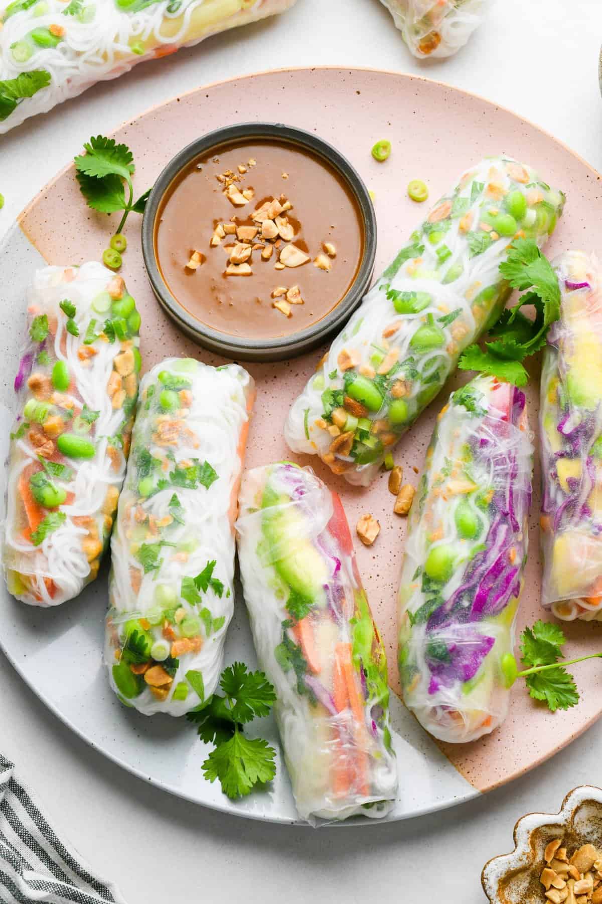 6 Spring Rolls on a plate with a small bowl of peanut sauce