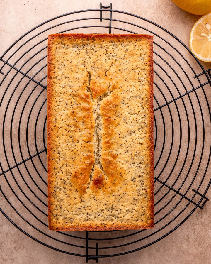 lemon poppy seed loaf cooling on a wire cooling rack