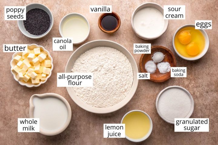 overhead view of the ingredients in this Lemon Poppy Seed Bread recipe