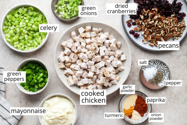 overhead photo of the ingredients in this Cranberry Chicken Salad Recipe