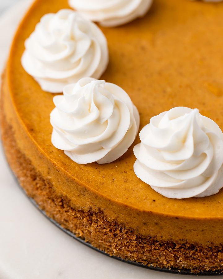 Pumpkin Cheesecake decorated with whipped cream