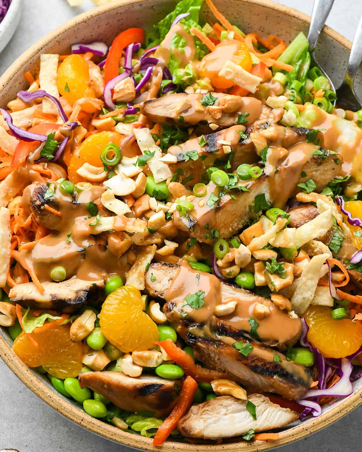 a bowl of Asian Chicken Salad with peanut dressing