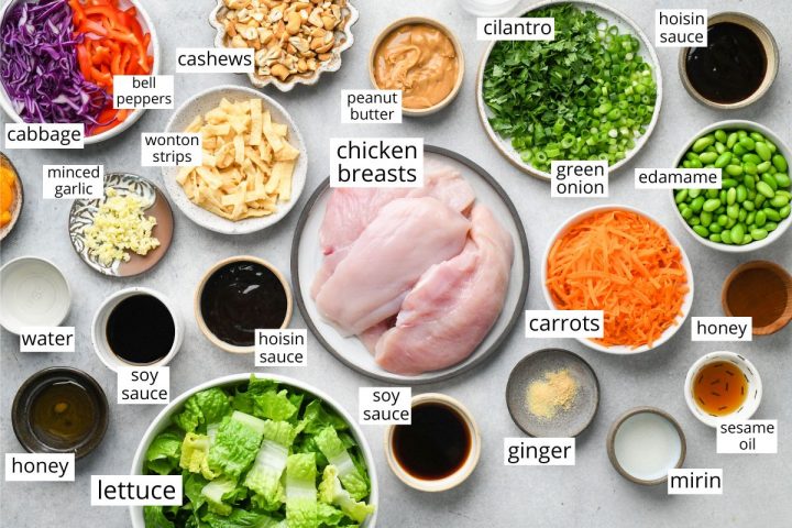 overhead view of the ingredients in this Asian Chicken Salad recipe