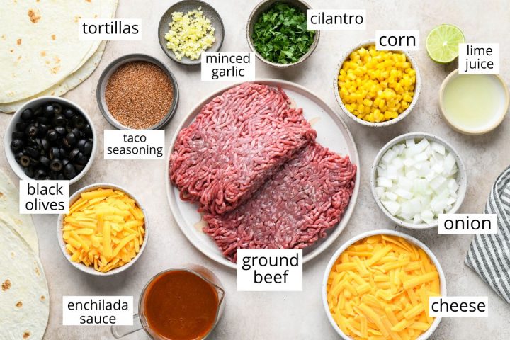 overhead photo of the ingredients in this Ground Beef Enchiladas recipe