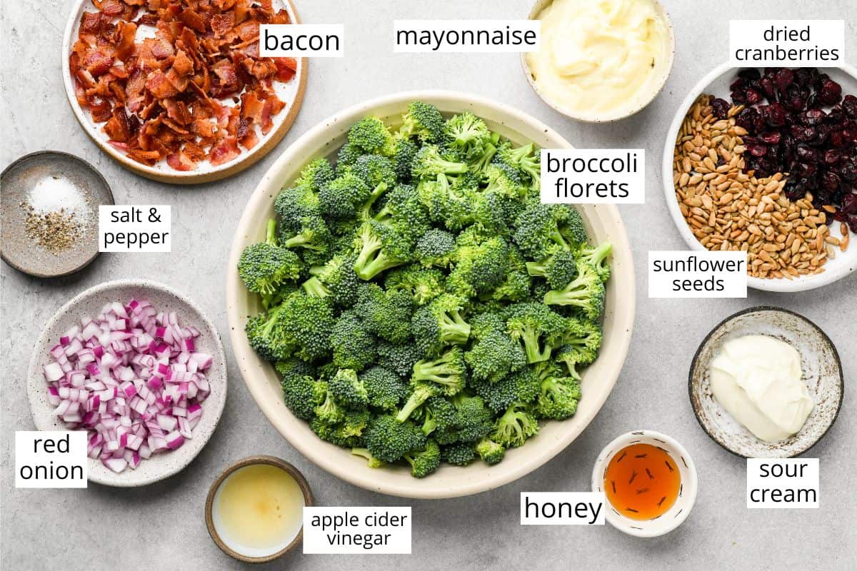 overhead photo of the ingredients in this Broccoli Salad recipe