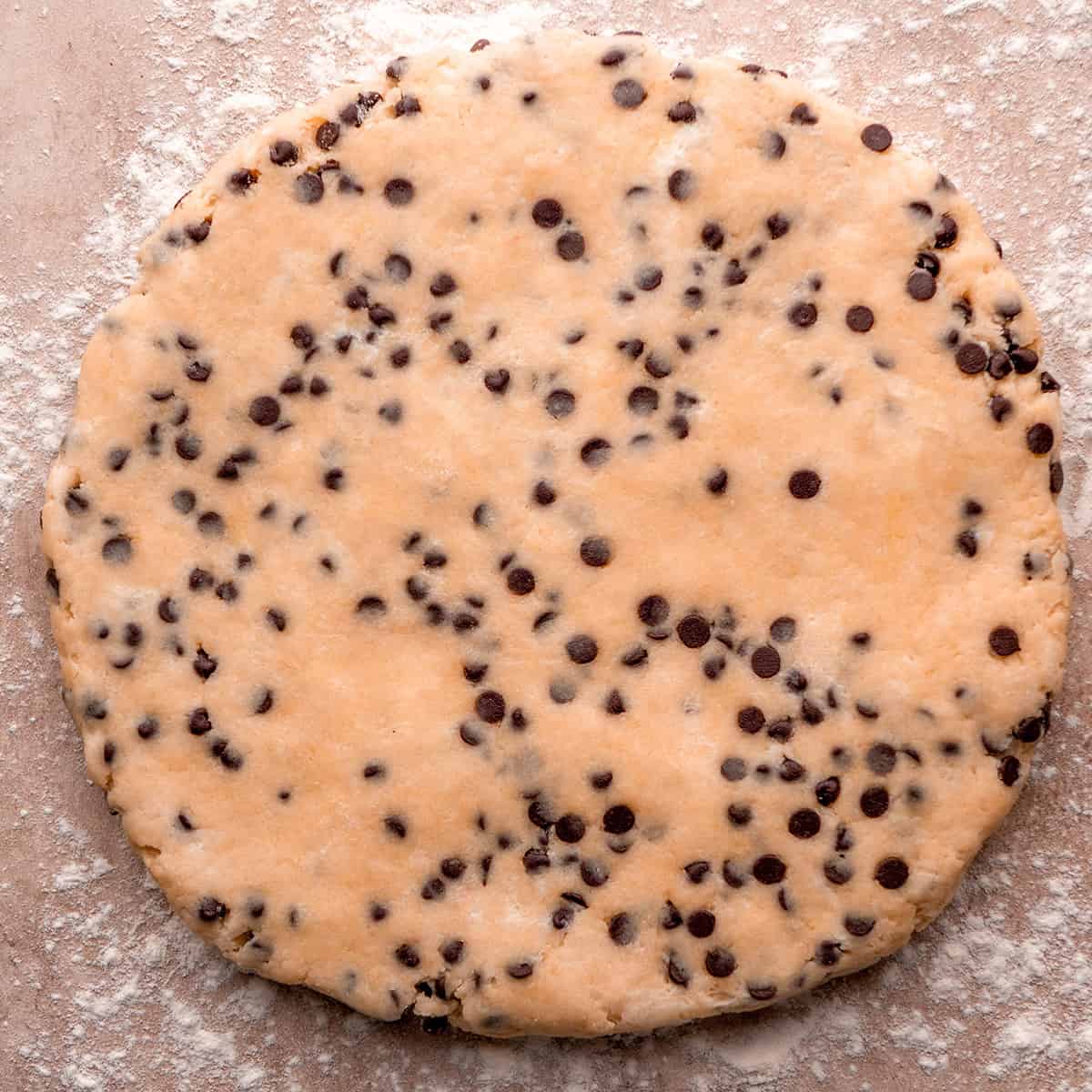 chocolate chip scones dough formed into a circle