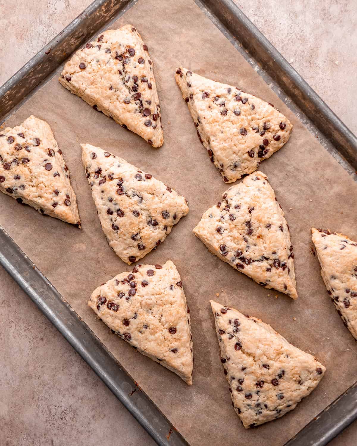 Chocolate Chip Scones on a baking sheet after being baked