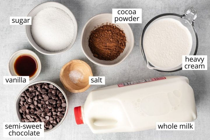 overhead view of the ingredients in this Crockpot Hot Chocolate recipe