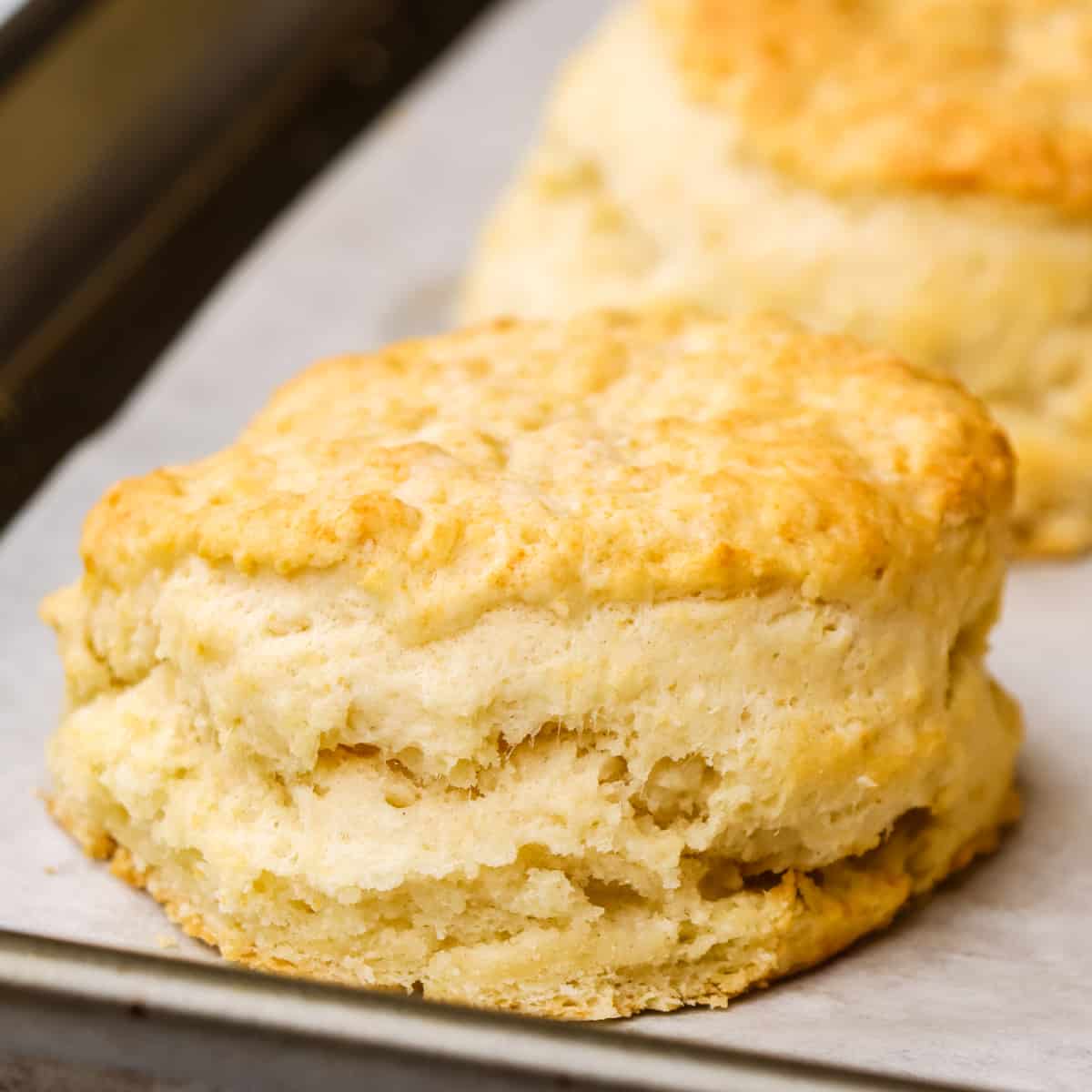 one homemade biscuit on a baking sheet