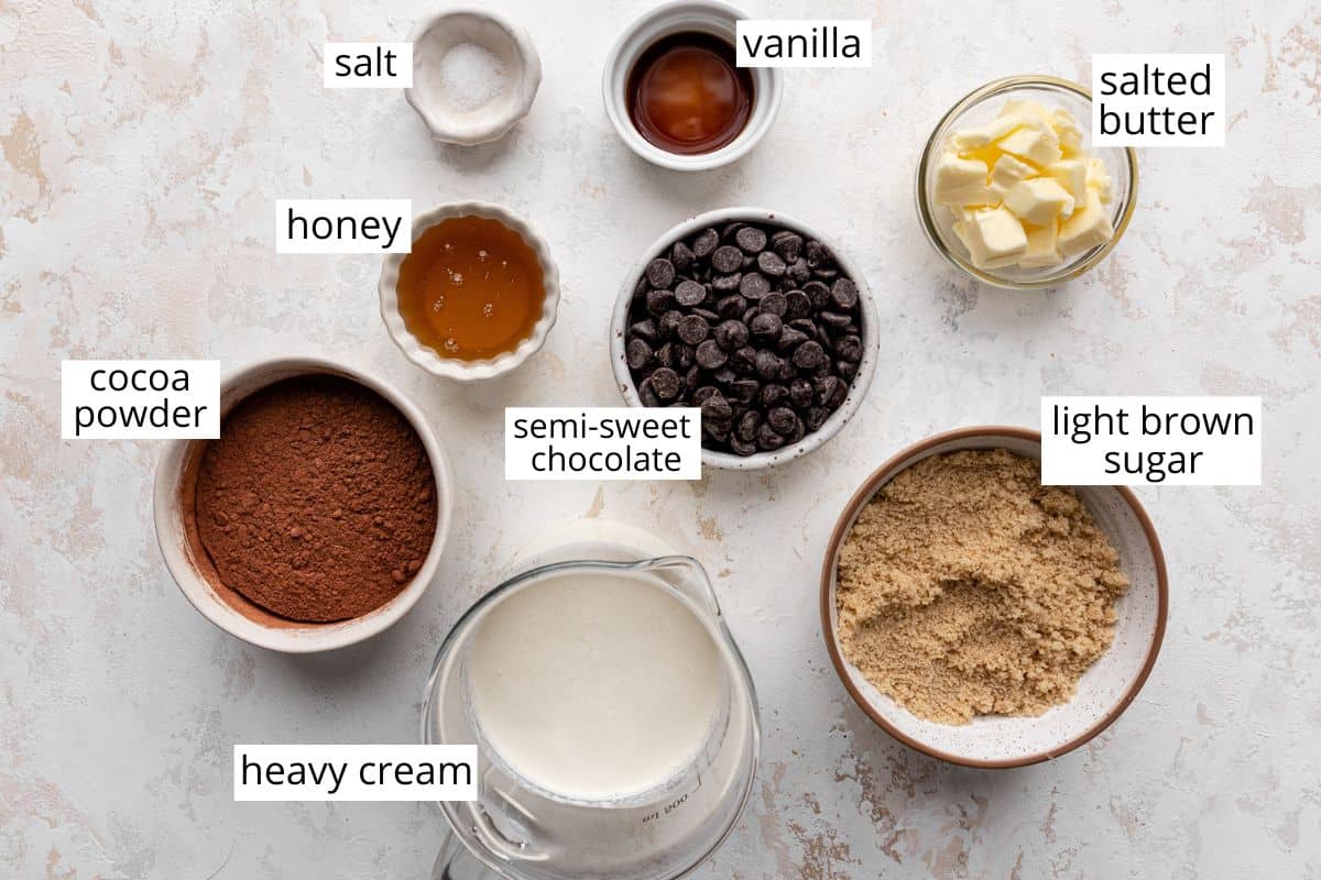 overhead photo of the ingredients in this Chocolate Sauce Recipe