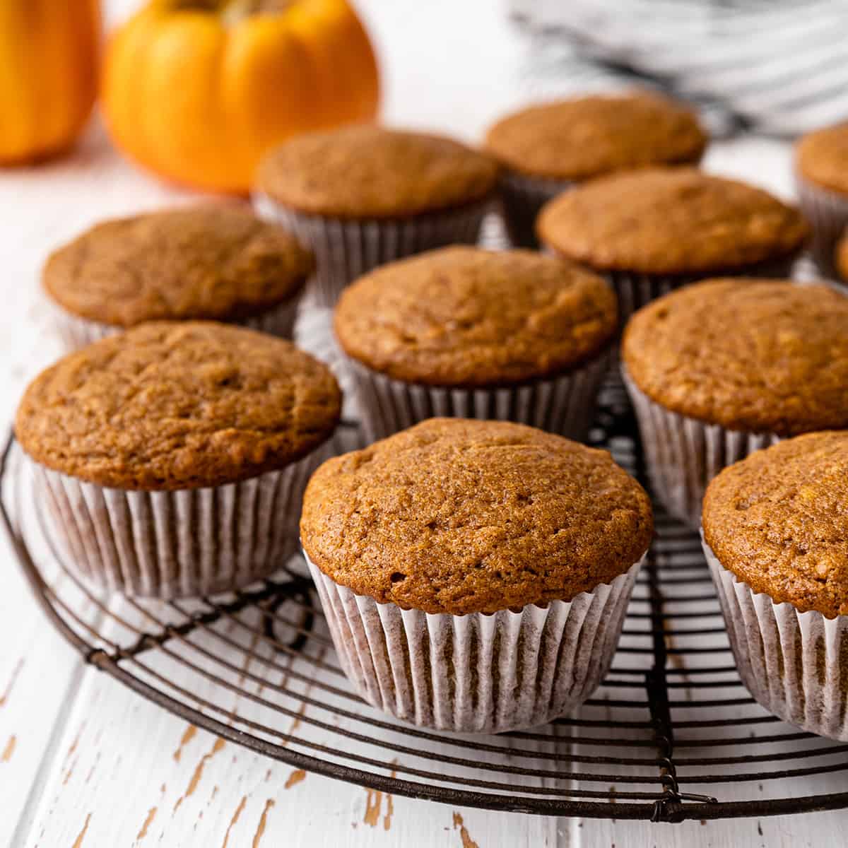 9 unfrosted Pumpkin Cupcakes on a wire cooling rack