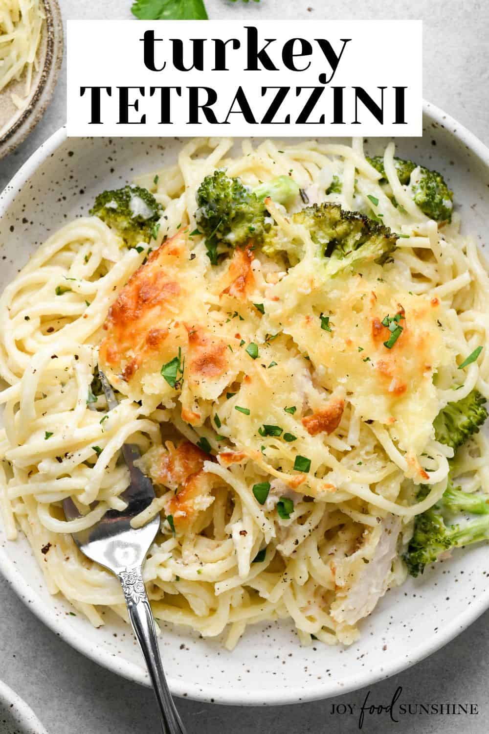 Turkey Tetrazzini - JoyFoodSunshine