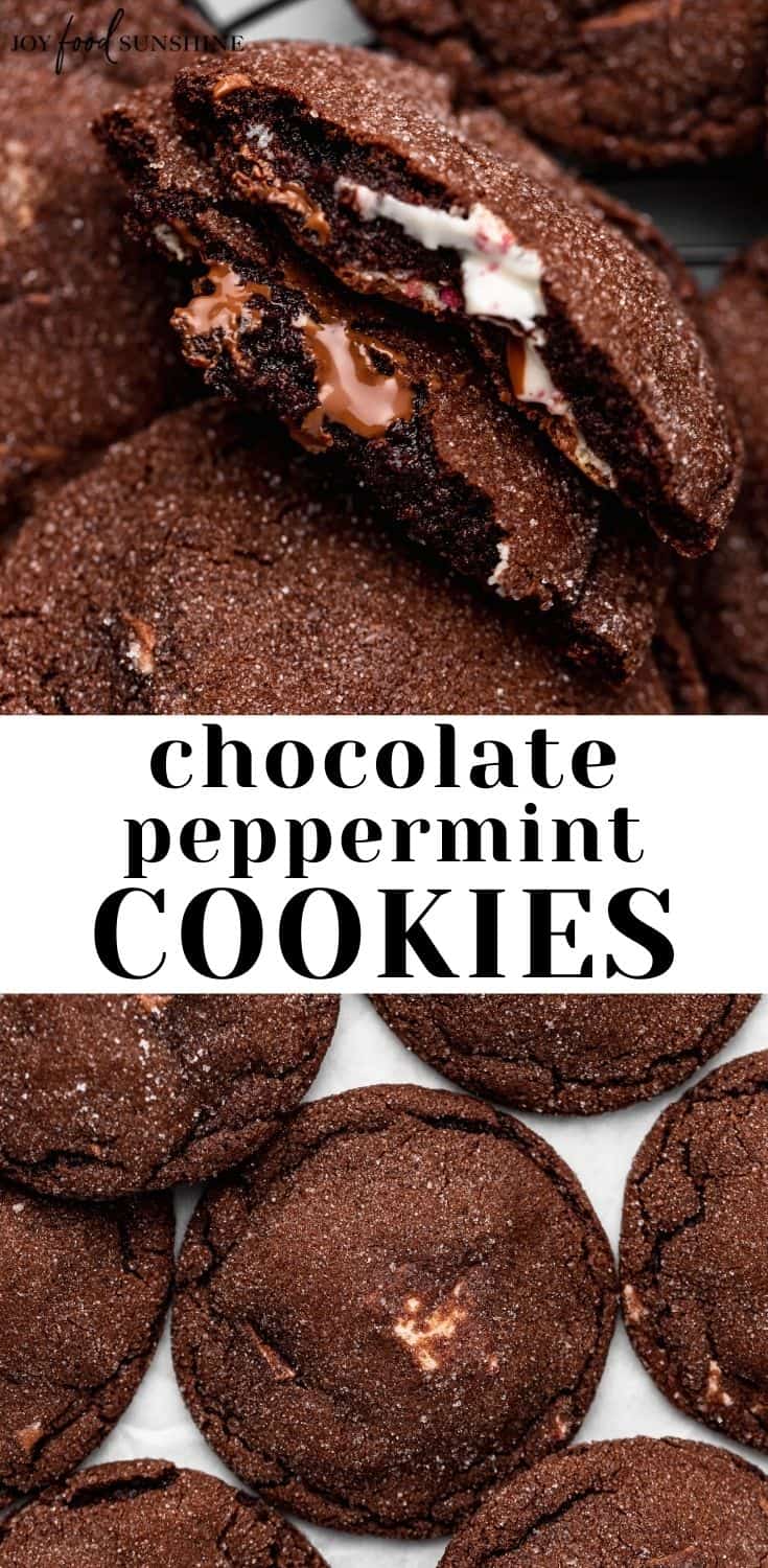 Chocolate Peppermint Cookies - JoyFoodSunshine