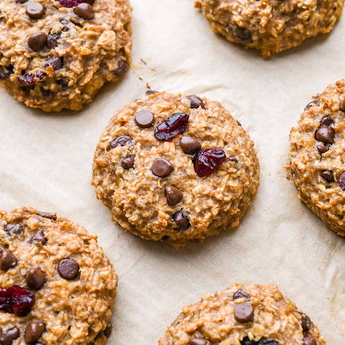 6 Breakfast Cookies with chocolate chips and dried cranberries