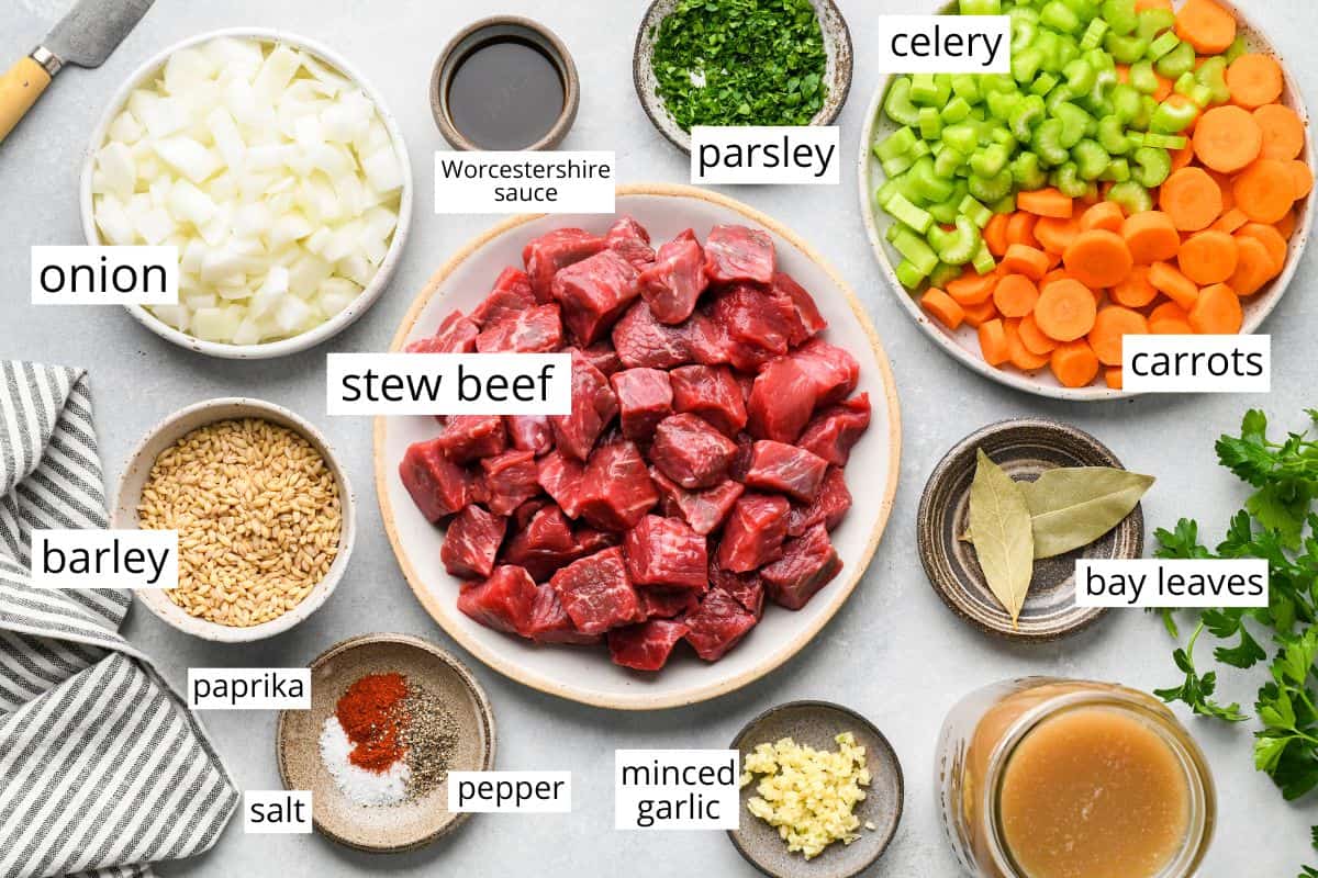 overhead photo of the ingredients in this Beef Barley Soup recipe