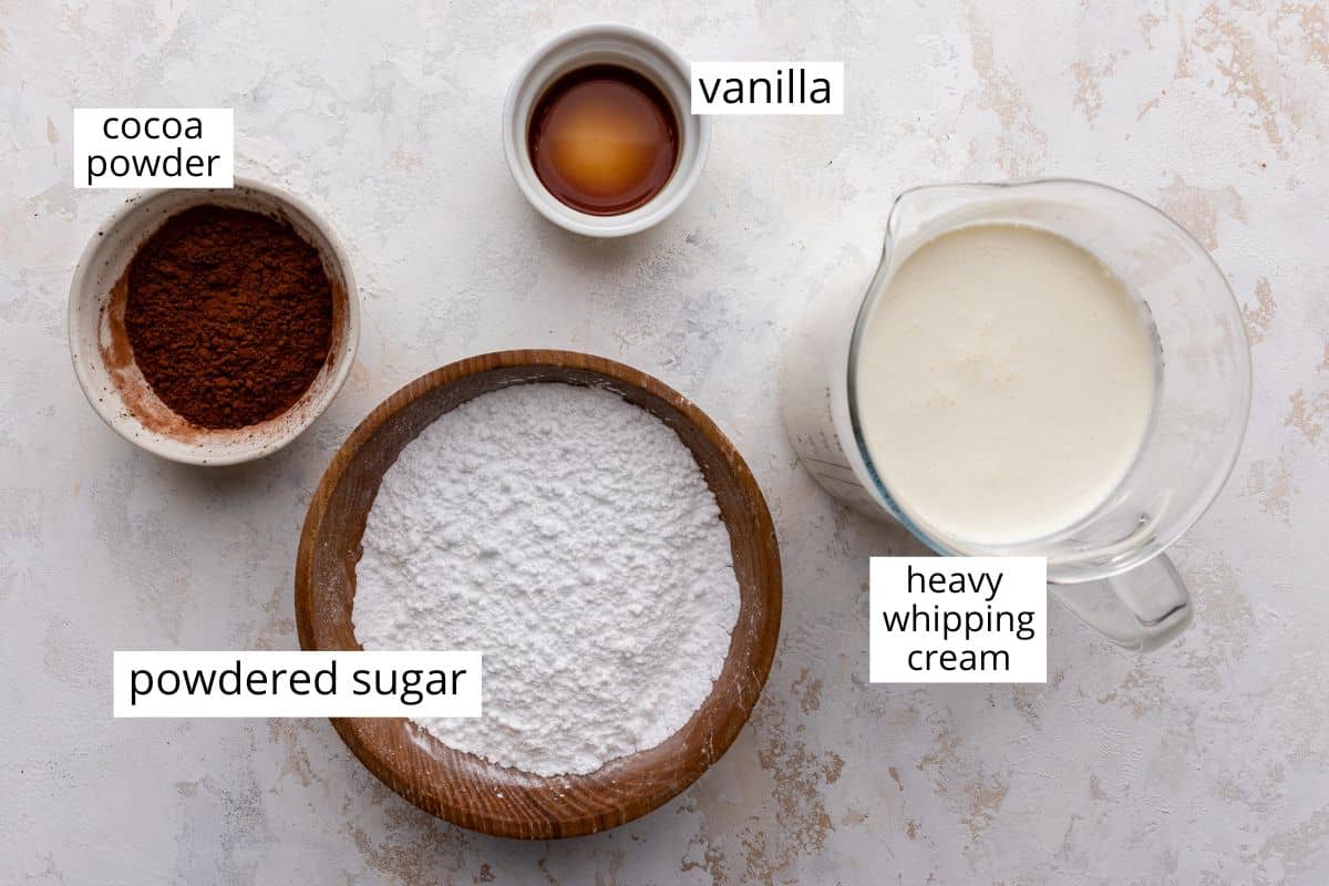 overhead photo of the ingredients in this Chocolate Whipped Cream recipe