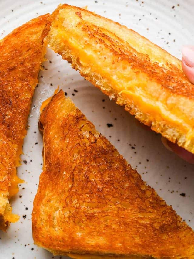 EASY GRILLED CHEESE SANDWICH STORY