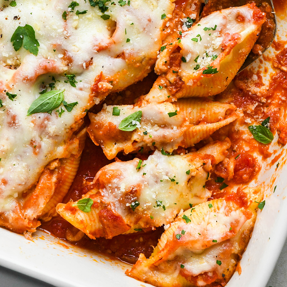 stuffed shells in a baking dish after baking