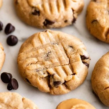 Peanut Butter Chocolate Chip Cookies