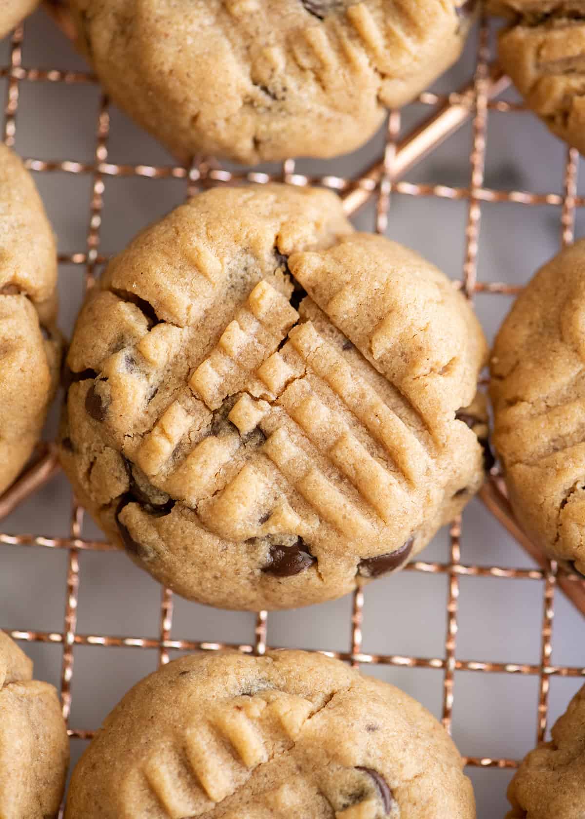 Peanut Butter Chocolate Chip Cookies on a wire cooling rack