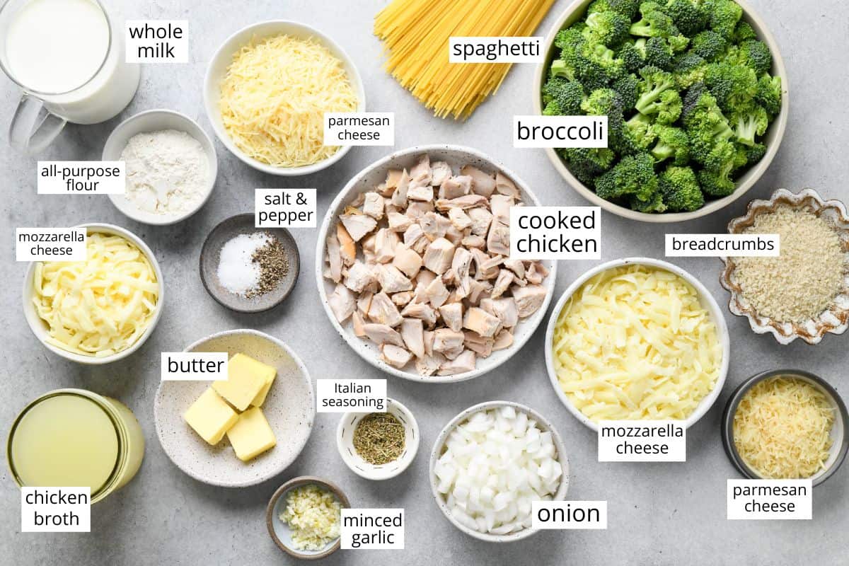 overhead view of the labeled ingredients in this Chicken Tetrazzini recipe