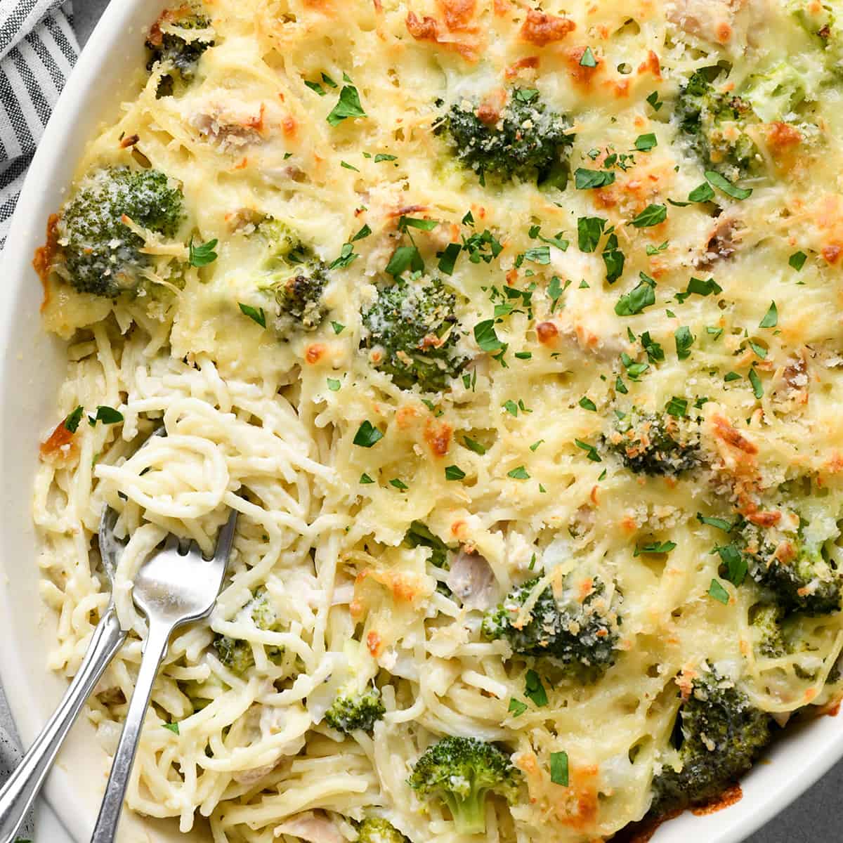 Chicken Tetrazzini with two forks