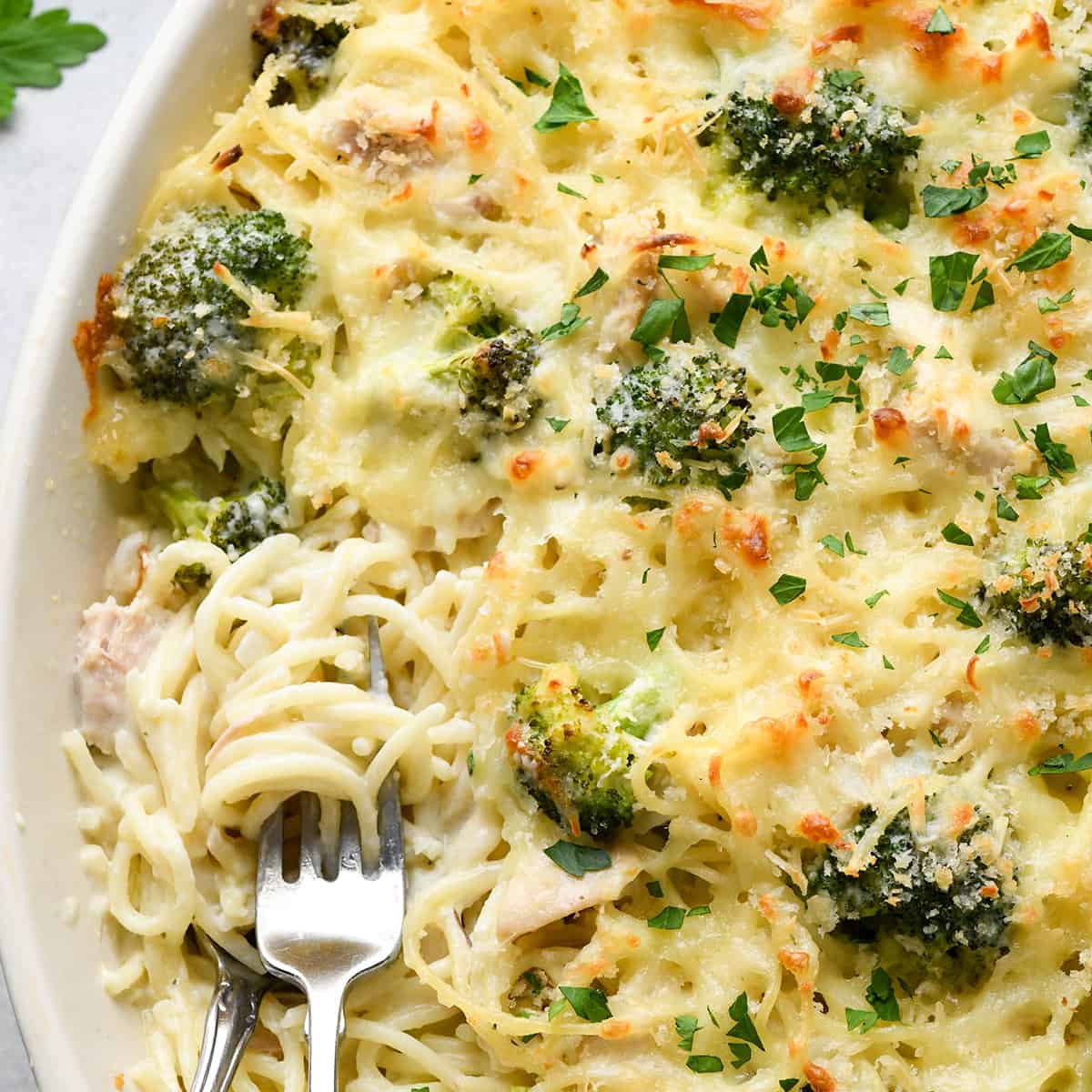Chicken Tetrazzini in a baking dish with 2 forks