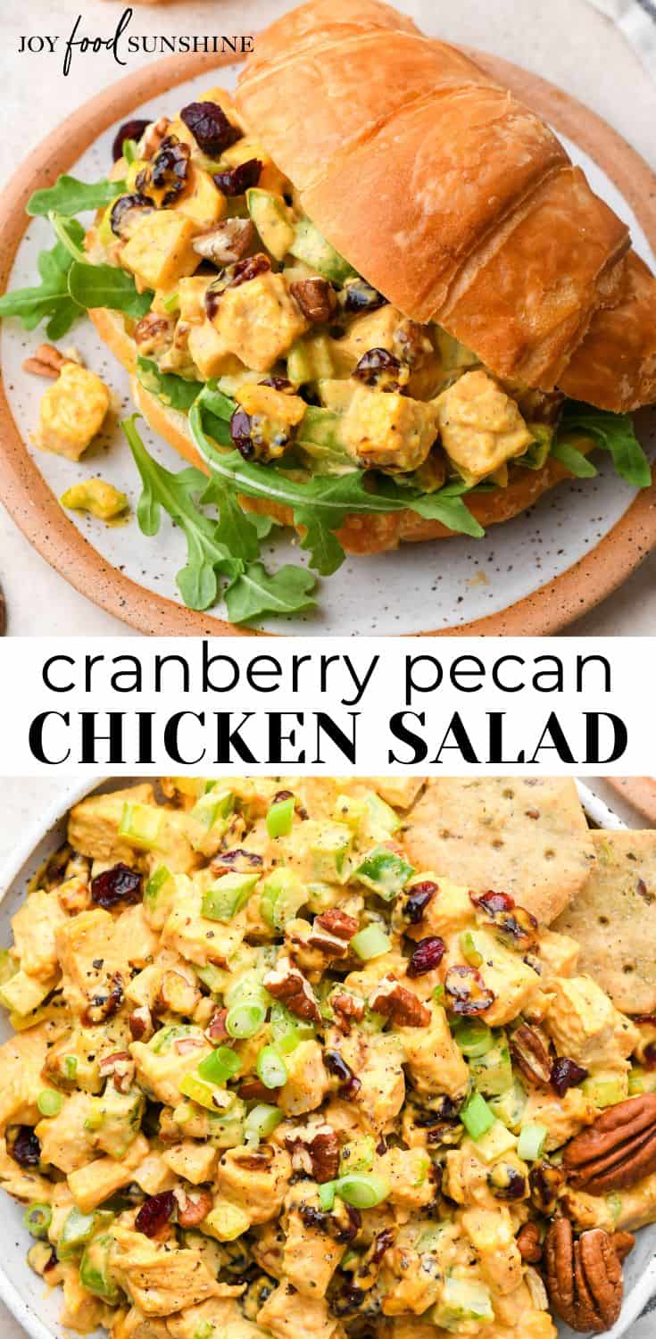 Pecan Cranberry Chicken Salad - JoyFoodSunshine