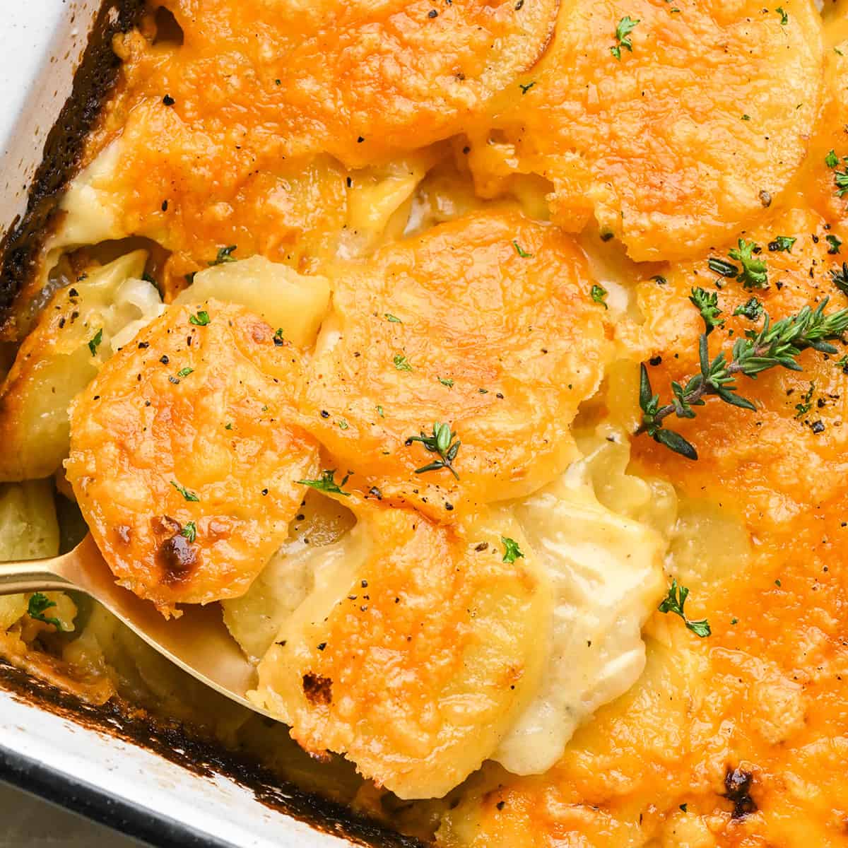 potatoes au gratin in a baking dish with a spoon