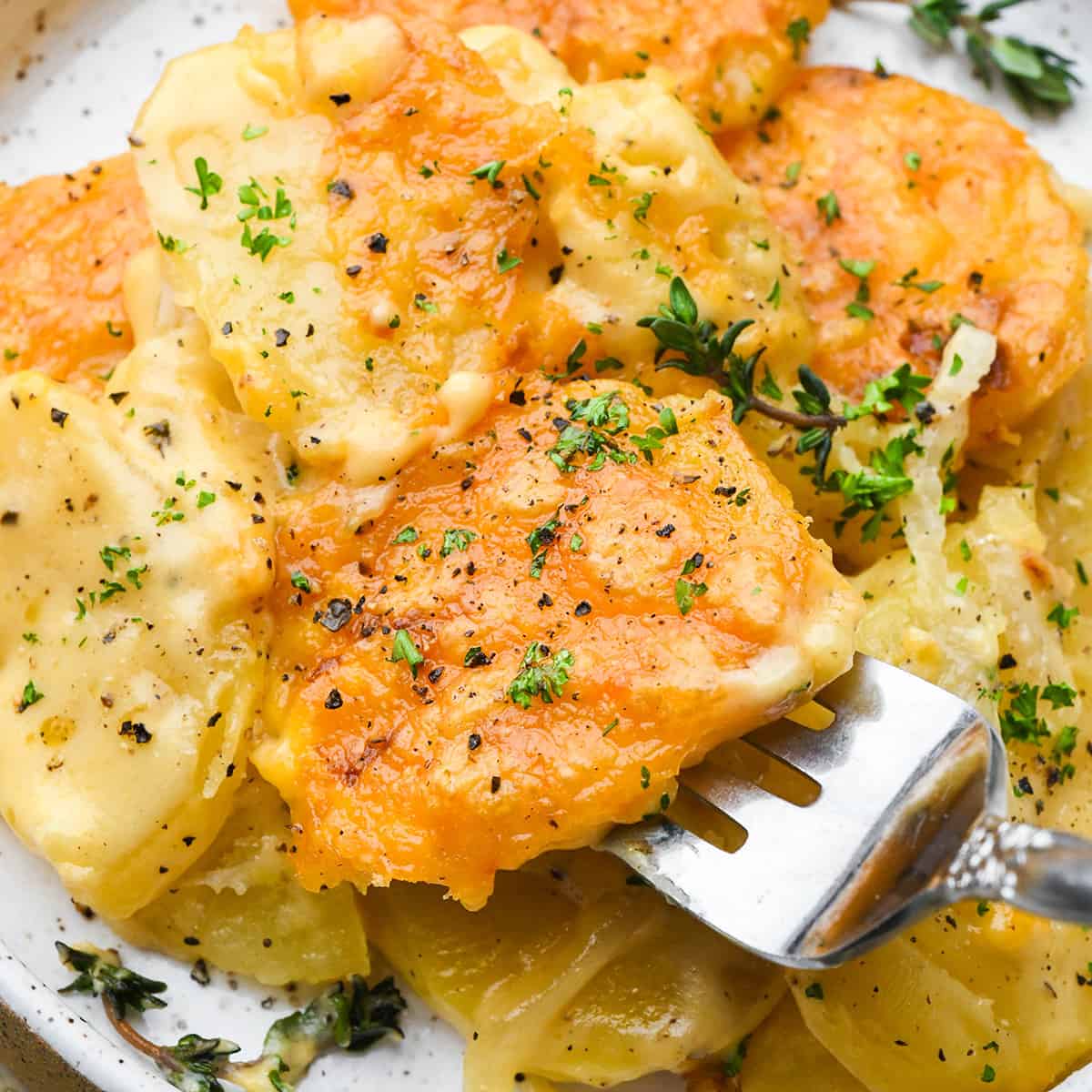 potatoes au gratin on a plate with a fork